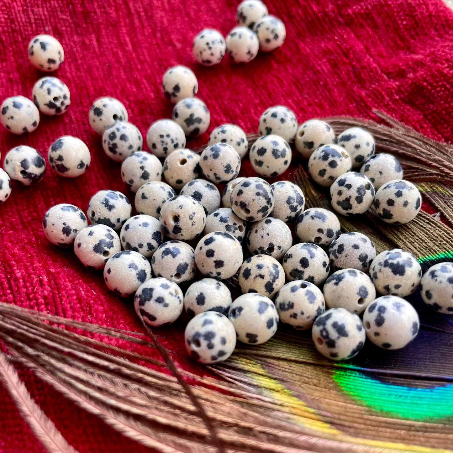 Perle Jaspe Dalmatien