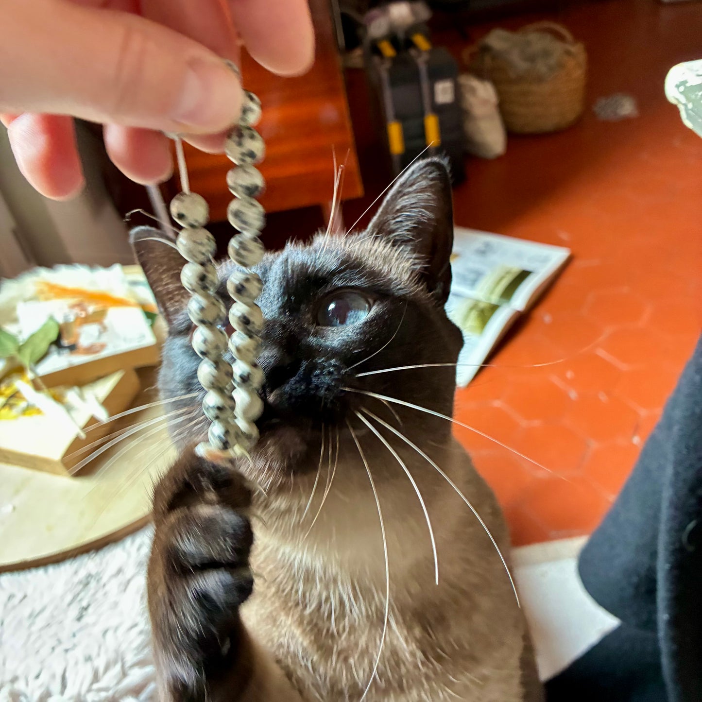 Bracelet Jaspe Dalmatien