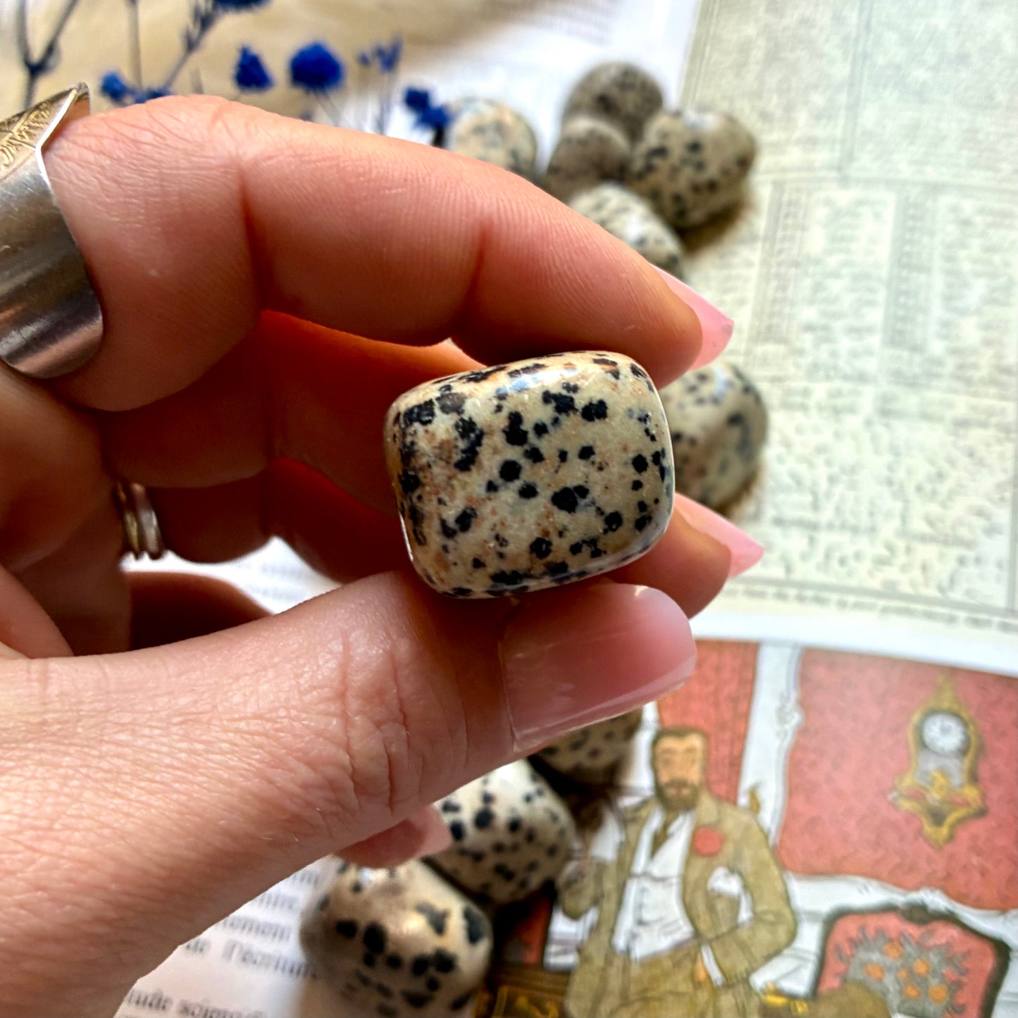 Pierre roulée Jaspe Dalmatien