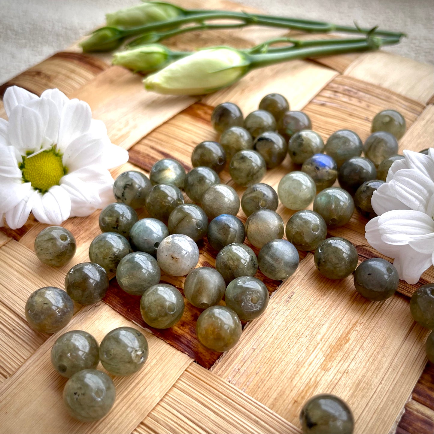 Perle Labradorite verte